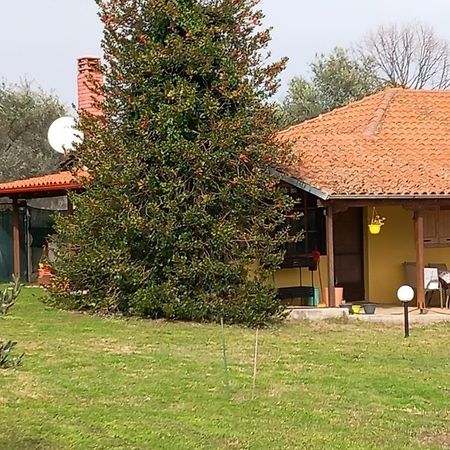 Villa Olympos House Litochoro Exterior foto